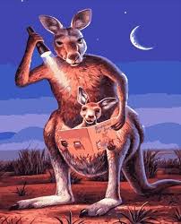 Image result for Reading Kangaroos