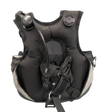 Image result for Seaquest Divers