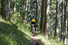 Image result for Uwe Mountain Biking Club