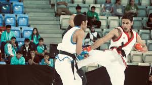 Image result for Association Of Sport Martial Arts