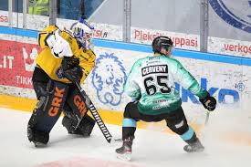 Image result for Pelicans Hockey Club