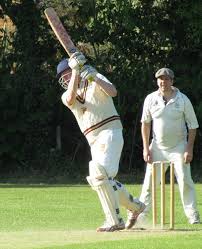 Image result for Old Woking Cricket Club