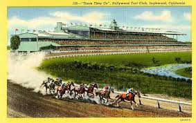 Image result for The Horse Racing Club