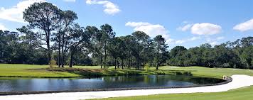 Image result for Dolphina Gc