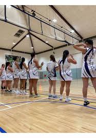 Image result for Treforus Netball Club