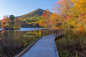 Image result for Bedford