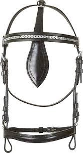 Image result for scheuklappen