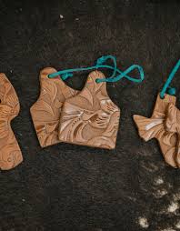 Image result for freshies