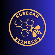 Image result for Elsecar Cricket Club