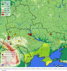 Attēlu rezultāti vaicājumam “Fruticola fruticum”