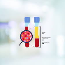 Image result for blood