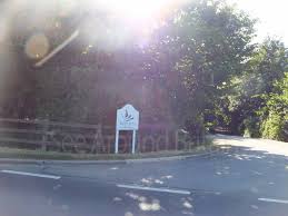 Image result for White Rose Polo Club