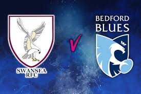 Image result for Swansea Rfc