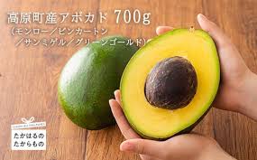 「アボカド大臣」の画像検索結果