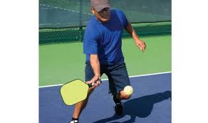 Image result for Lockerbie Pickleball Club