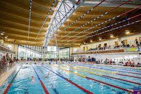 Image result for Romford Swimming Club