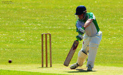 Image result for Elham Valley Cricket Club