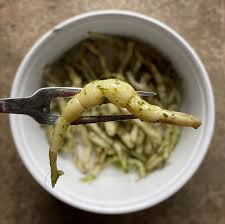 Attēlu rezultāti vaicājumam “Stachys palustris fruit”