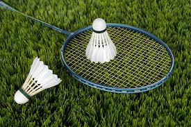 Image result for Bushey Barons Badminton Club