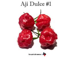 Afbeeldingsresultaat voor aji dulce sweet pepper