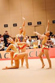 Image result for L&G Acrobatic Gymnastics