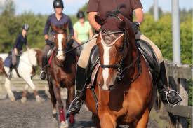Image result for Thames Valley Riding Club