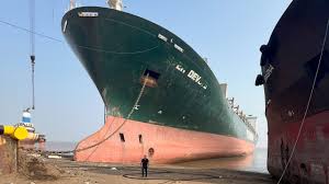 Image result for alang