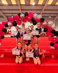 Image result for Swallows Of Helston Gymnastics Club