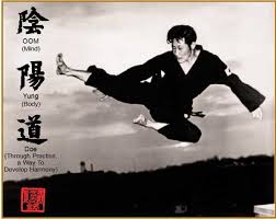 Image result for Ndm Martial Arts