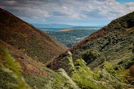 Image result for Long Mynd