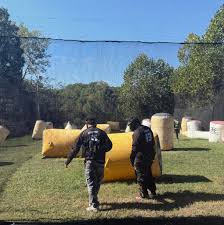 Image result for Absolute Paintball