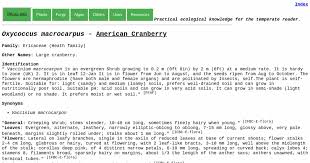 Attēlu rezultāti vaicājumam “Oxycoccus bud”