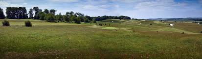 Image result for Royston Golf Club Ltd