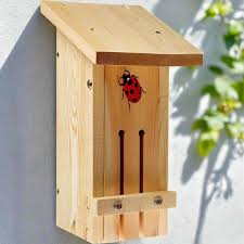 Image result for ladybug house
