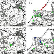 Attēlu rezultāti vaicājumam “Hoplia parvula imago”