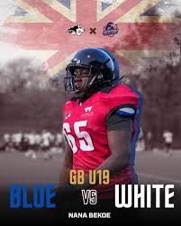 Image result for Warwick Wolves