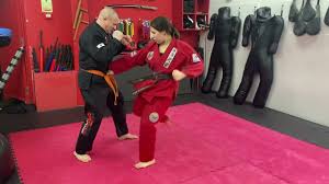 Image result for GBMAA EPSOM AND LEATHERHEAD MARTIAL ARTS ACADEMY