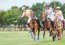 Image result for Cambridge and Newmarket Polo Club