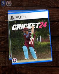 Image result for Yelverton Bohemians Cricket Club