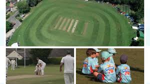 Image result for Godmanchester Town Cricket Club