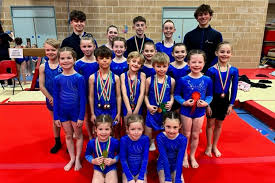 Image result for Haverfordwest Gymnastics Club