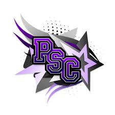 Image result for Phoenix Stars Cheerleaders