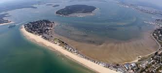 Image result for Poole Harbour