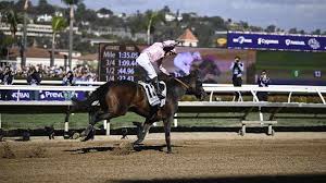 Image result for The Horse Racing Club