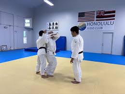 Image result for Halewood Inclusive Judo Club
