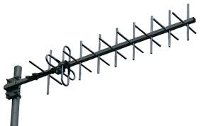 Image result for digitenne yagi