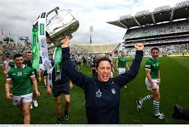 Image result for University Of Limerick Gaa Hurling Club