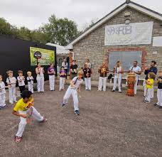 Image result for Cobra Capoeira Kids Club