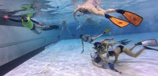 Image result for FXU Underwater Hockey