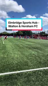 Image result for Elmbridge Girls Basketball Club